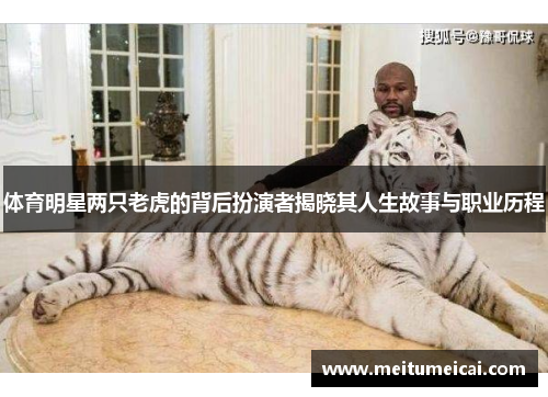 体育明星两只老虎的背后扮演者揭晓其人生故事与职业历程