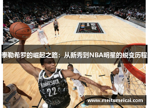 泰勒希罗的崛起之路：从新秀到NBA明星的蜕变历程